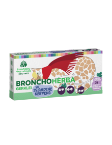 Bronchoherba gerklei vaikams, tabletės kvėpavimo takams, Švenčionių vaistažolės, 24 pakelių