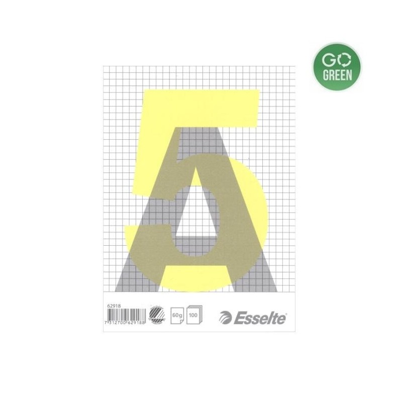 Bloknotas klijuotas A5/100l. ESSELTE langeliais
