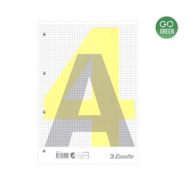 Bloknotas klijuotas A4/100 lapų, ESSELTE langeliais