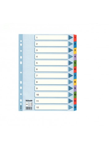 Skiriamieji lapai segtuvams A4 1-12 ESSELTE, spalvoti įp.10