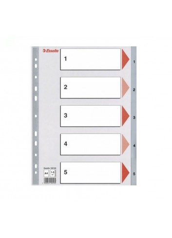 Skiriamieji lapai segtuvams A4 1-5 ESSELTE, plastikiniai