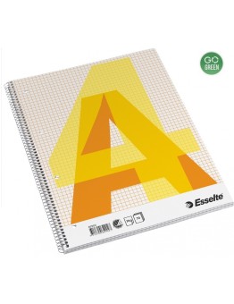 Sąsiuvinis su spirale šone A4/70l ESSELTE langeliais, įp10