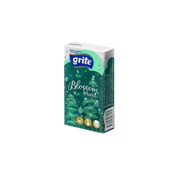 Vienkartinės nosinaitės GRITE DAILY SOFT 3sl., mėtų kvapo įp.10