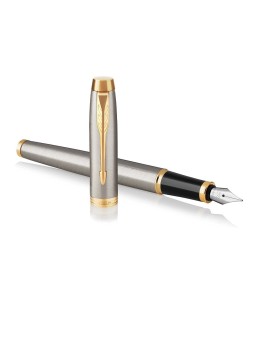 Plunksnakotis PARKER IM BRUSHED METAL GT, sidabro sp. su aukso sp. detalėmis