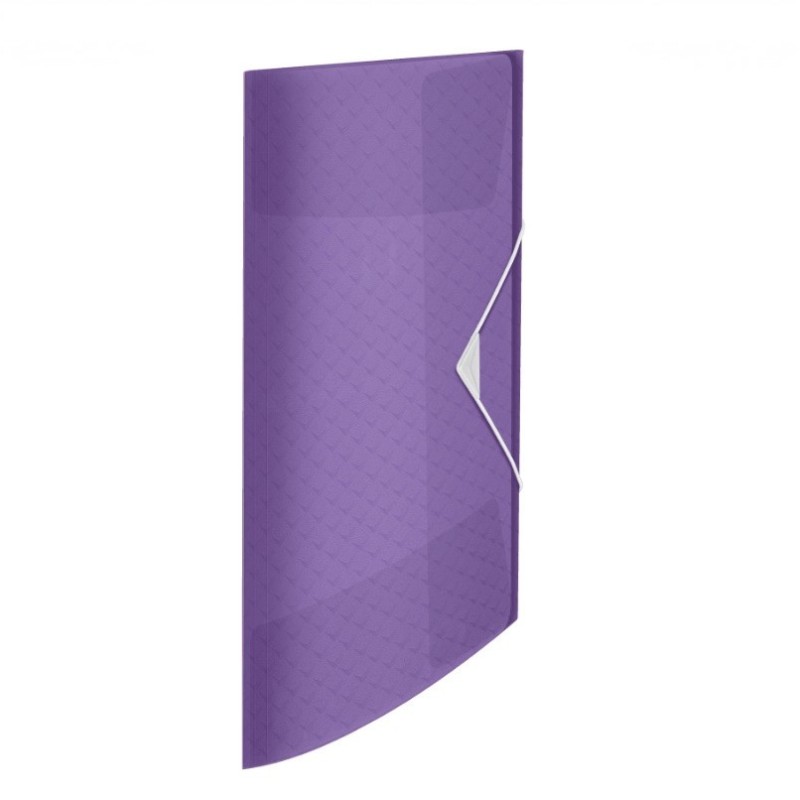 Aplankas dokumentams su 3 atvartais ESSELTE COLOUR BREEZE violetinė sp.